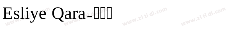 Esliye Qara字体转换